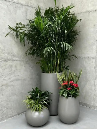 海曙绿色植物租用-海曙绿植租摆经营-鄞州花卉租摆装饰效果-鄞州租绿植千套方案
